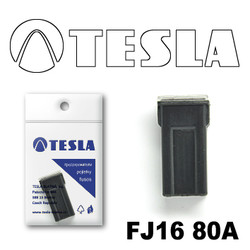 FJ1680A Tesla
