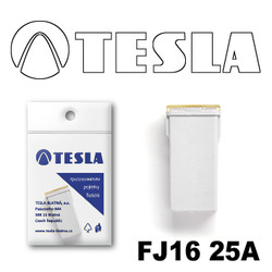 FJ1625A Tesla