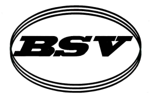 Производитель автомобильных запасных частей BSV