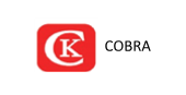 Производитель автомобильных запасных частей COBRA KING