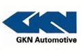 Производитель автомобильных запасных частей GKN (LOEBRO)