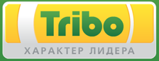Производитель автомобильных запасных частей TRIBO